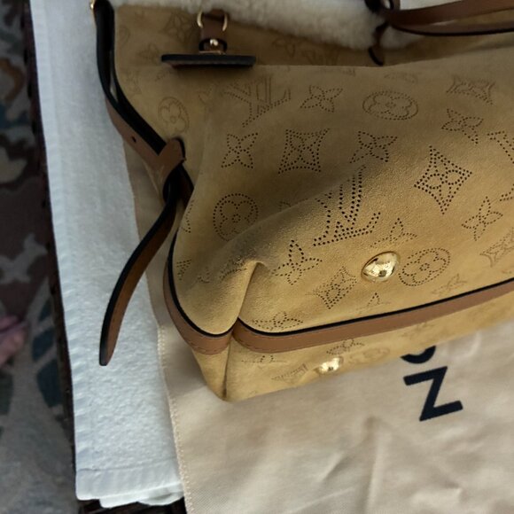 ADDITIONAL PHOTOS ONLY*******Louis Vuitton CarryAll PM in Mahina - Picture 3 of 12